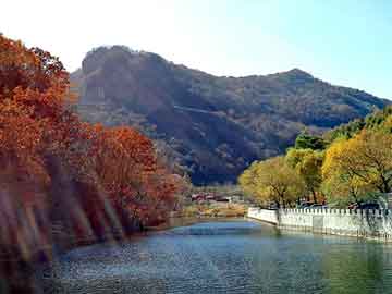 新澳天天开奖资料大全旅游团，现代都市异能小说